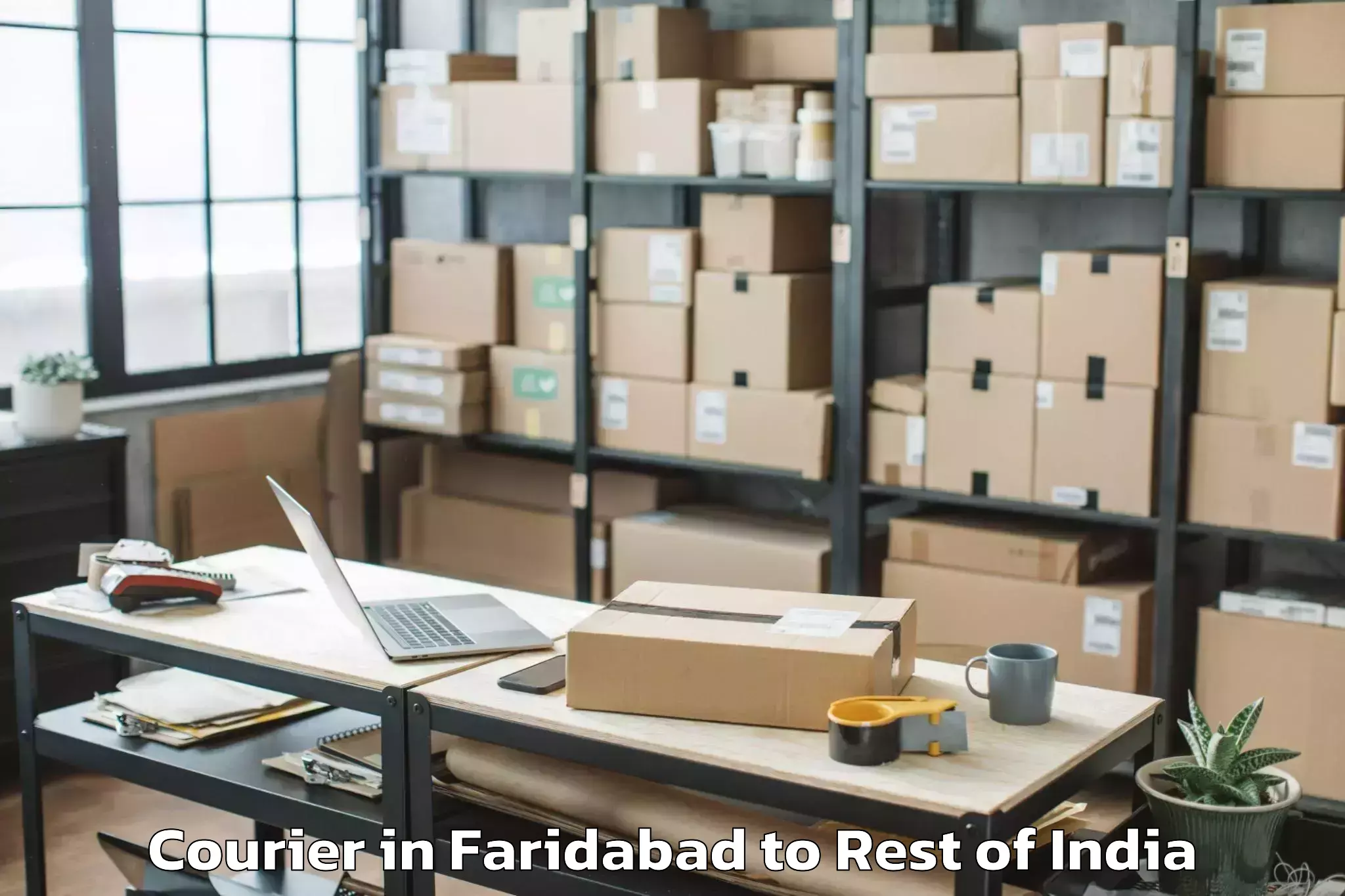 Reliable Faridabad to Abishekapatti Courier